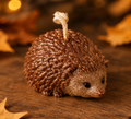 Kleiner Igel - Herbstliebling