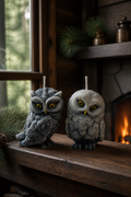 Little Owl Couple