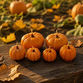 Little Pumpkin