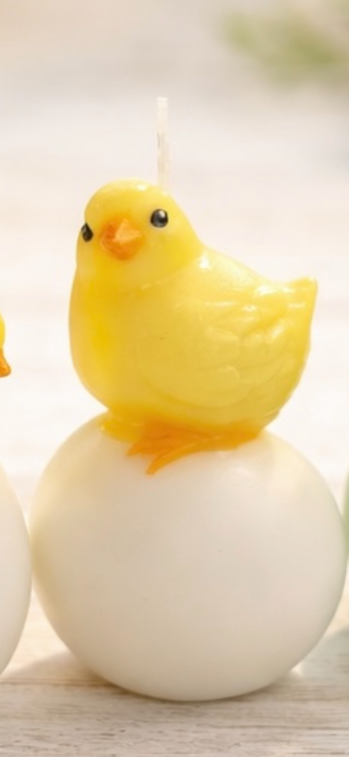 Kleine Küken - Osterdekoration 🐣🌸