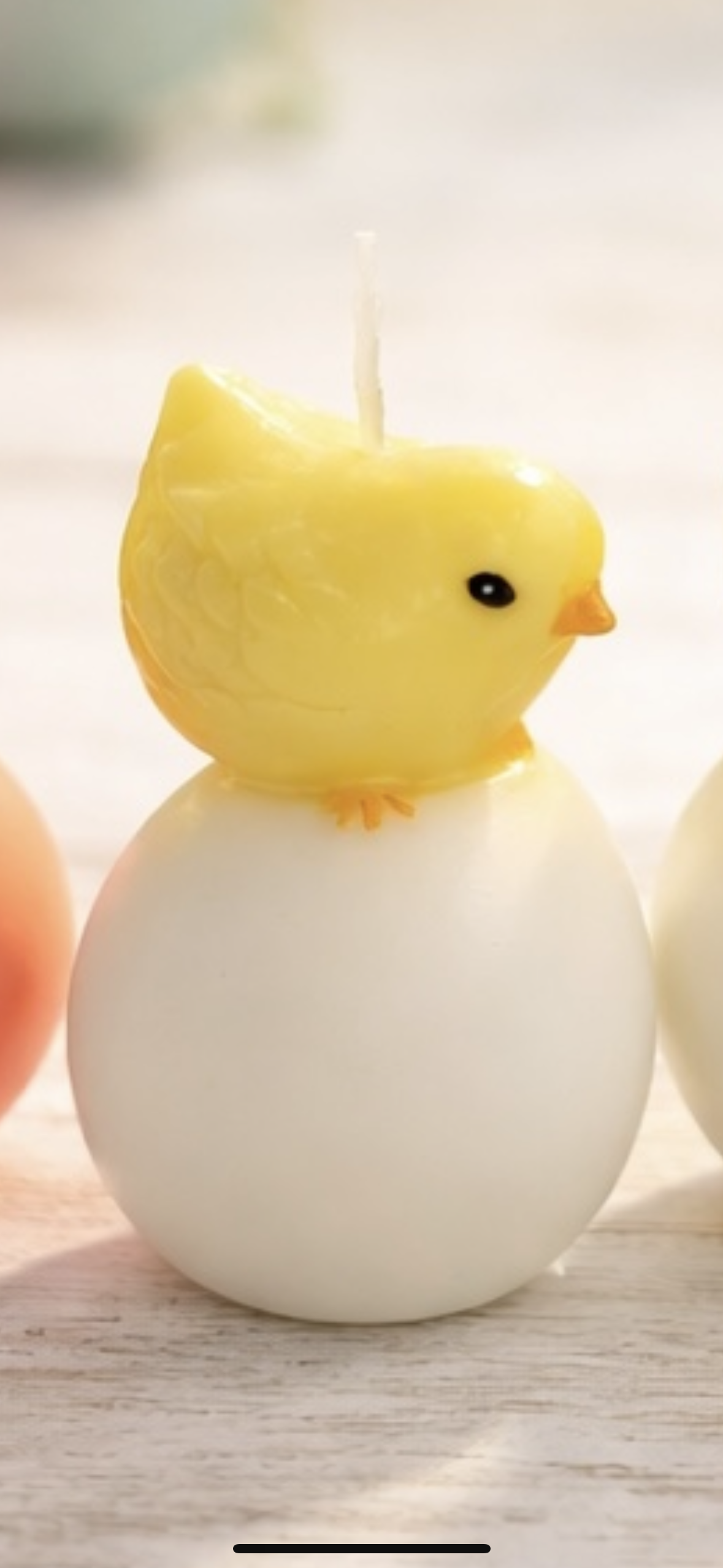 Kleine Küken - Osterdekoration 🐣🌸